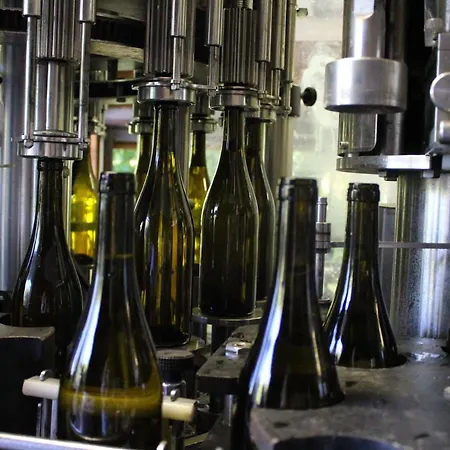 Il Colombaio Winery & Farm stay *