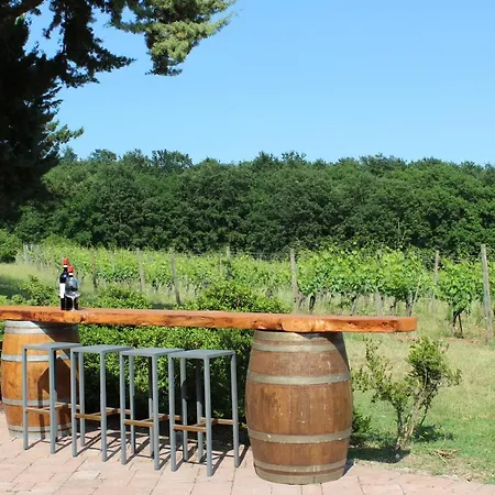Farm stay Il Colombaio Winery & *