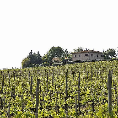 Il Colombaio Winery Фермерский дом *