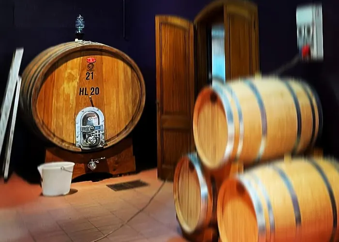 Il Colombaio Winery & 农家乐 蒙特里久尼