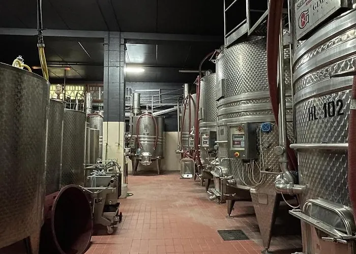 Il Colombaio Winery & 农家乐 蒙特里久尼