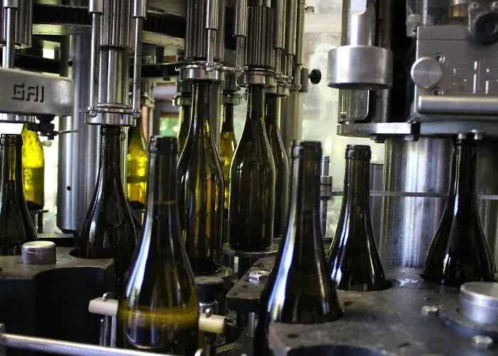 Il Colombaio Winery & 农家乐 *