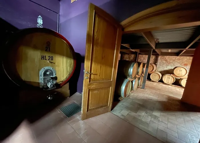 Il Colombaio Winery & 农家乐 蒙特里久尼