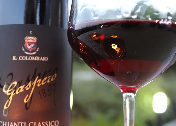 Il Colombaio Winery & 蒙特里久尼